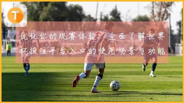 优化你的观赛体验：全面了解世界杯投注平台入口的使用场景与功能