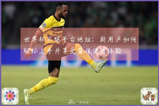 世界杯买球平台地址:新用户如何轻松上手并享受最佳使用体验