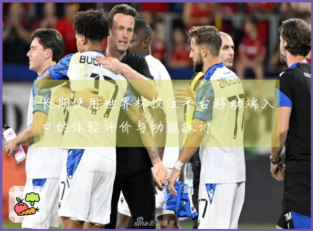 长期使用世界杯投注平台移动端入口的体验评价与功能探讨